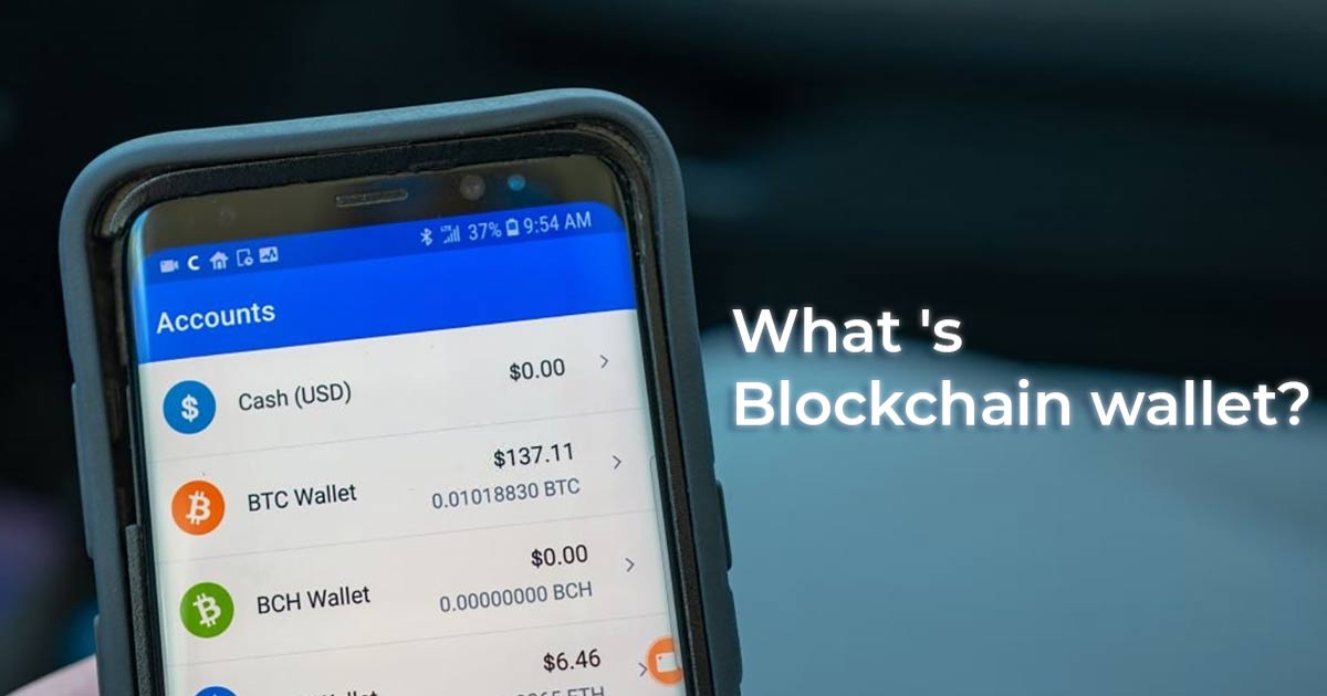 What is a Blockchain Wallet? Benefits of Blockchain wallets in Global Economy